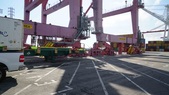 Enlarge photo 81
