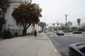 Enlarge photo 47