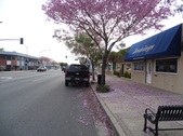 Burbank Bl. & Reese Pl.