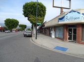 Magnolia & Niagara