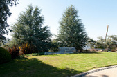 Enlarge photo 69