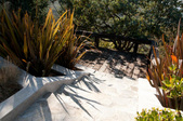 Enlarge photo 71