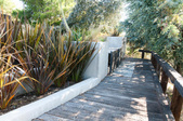 Enlarge photo 73