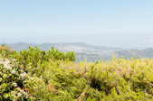 Enlarge photo 79