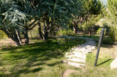 Enlarge photo 81
