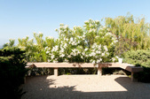 Enlarge photo 82