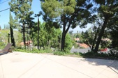 Enlarge photo 53