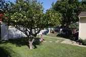 Enlarge photo 44