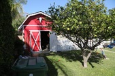 Enlarge photo 45