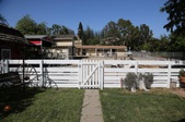 Enlarge photo 46