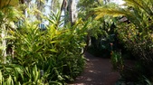 Enlarge photo 25