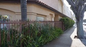 Enlarge photo 33