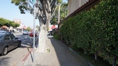 Enlarge photo 35