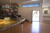 Enlarge photo 37
