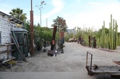 Enlarge photo 37