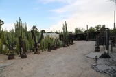 Enlarge photo 56