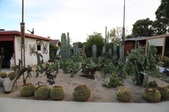 Enlarge photo 69