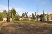 Enlarge photo 80