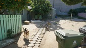 Enlarge photo 3