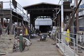 Enlarge photo 61