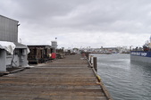 Enlarge photo 93