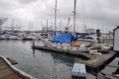 Enlarge photo 95