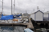 Enlarge photo 99