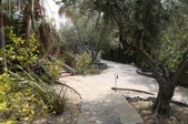 Enlarge photo 116