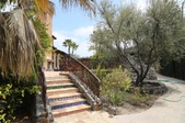 Enlarge photo 117