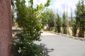 Enlarge photo 133