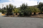 Enlarge photo 145
