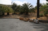 Enlarge photo 146