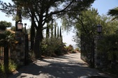 Enlarge photo 153