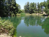 Enlarge photo 10