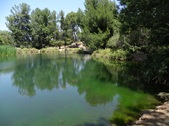 Enlarge photo 11