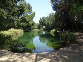 Enlarge photo 15