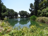 Enlarge photo 19