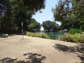 Enlarge photo 25