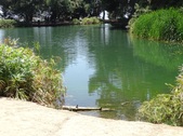 Enlarge photo 26