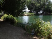 Enlarge photo 27