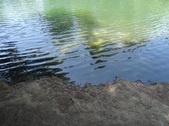 Enlarge photo 28