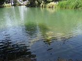 Enlarge photo 29