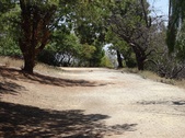 Enlarge photo 33