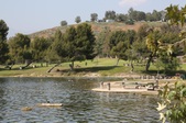 Enlarge photo 28
