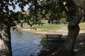 Enlarge photo 30