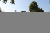 Enlarge photo 72