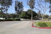 Enlarge photo 41