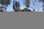 Enlarge photo 73