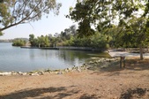 Enlarge photo 44