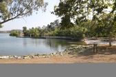 Enlarge photo 74